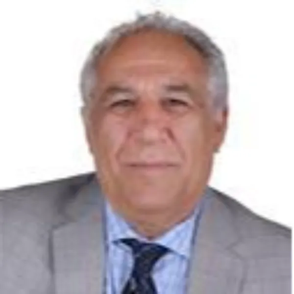 FIROUZ  HEMMATIYAN - REAL ESTATE BROKER